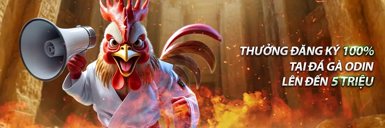 Chương trình Đối tác b9casino thành công