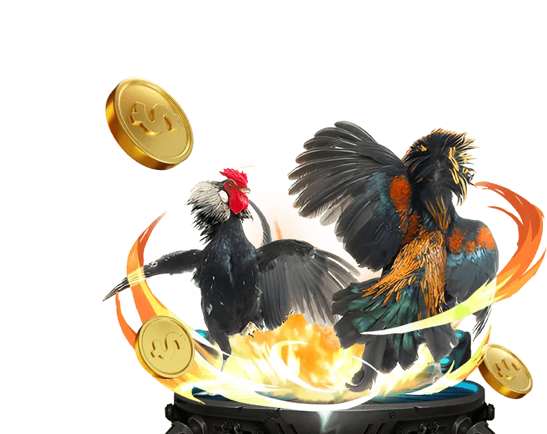 Quy trình tham gia đối tác b9casino